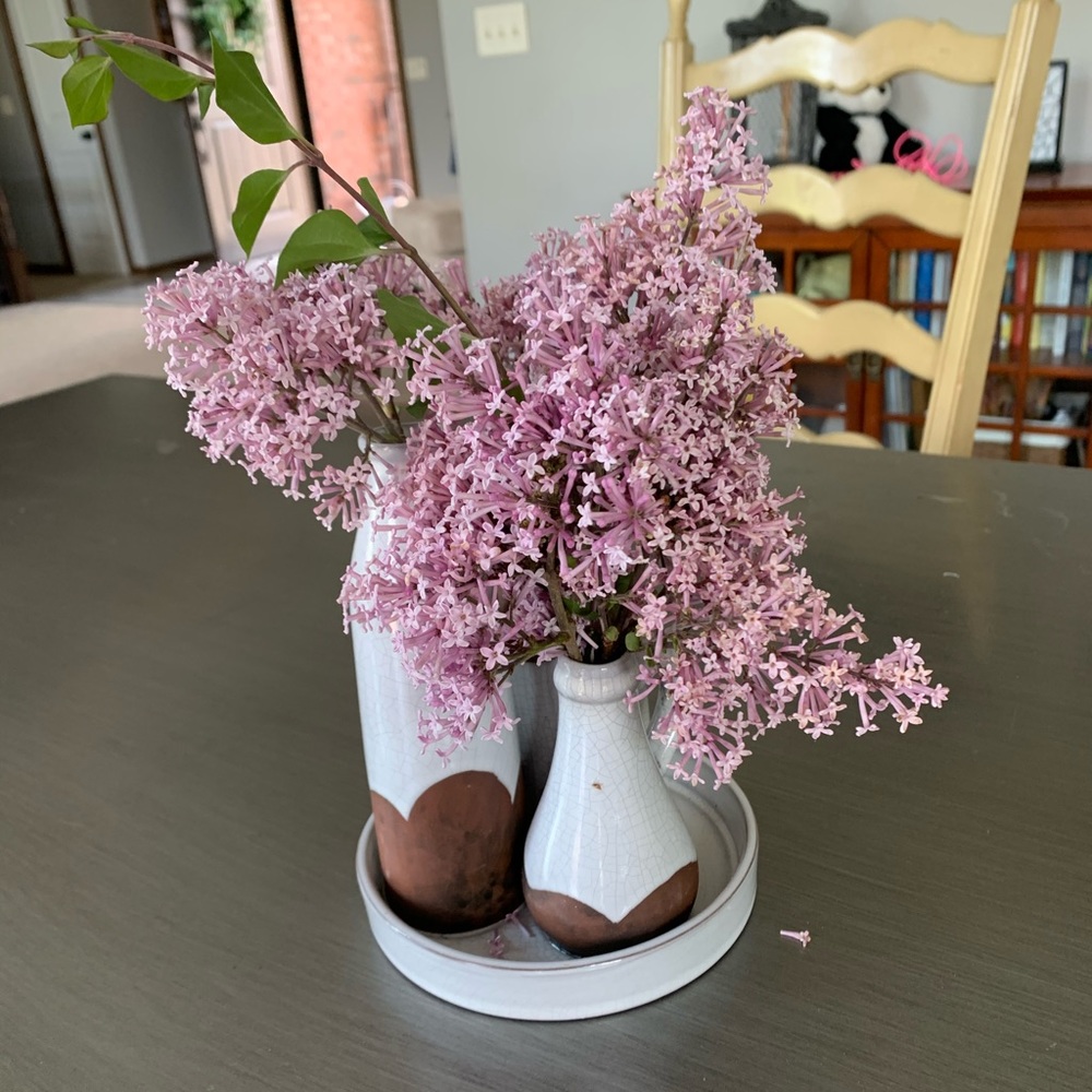 Meet your Posher, Jamie